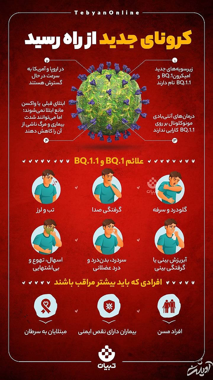 اینفوگرافیک، کرونا، کرونای جدید، واکسن، امیکرون، بیماری ویروسی، 